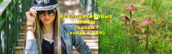 мет Алзамай