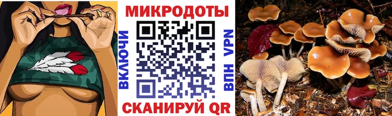 мега ONION  Нижнекамск  Галлюциногенные грибы Magic Shrooms 
